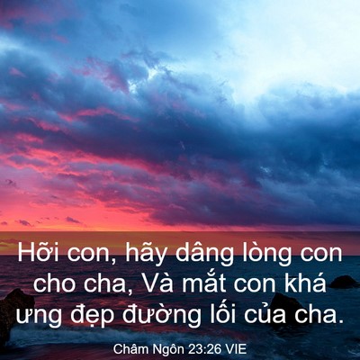 Picture 03 - Châm Ngôn 23:26 VIE - Hỡi con, hãy dâng lòng con cho cha, Và - Bible Verse Picture
