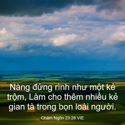 Picture 03 - Châm Ngôn 23:28 VIE - Nàng đứng rình như một kẻ trộm, Làm - Bible Verse Picture