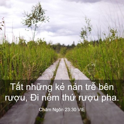 Picture 03 - Châm Ngôn 23:30 VIE - Tất những kẻ nán trễ bên rượu, Đi - Bible Verse Picture