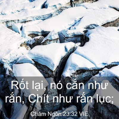 Picture 03 - Châm Ngôn 23:32 VIE - Rốt lại, nó cắn như rắn, Chít như - Bible Verse Picture