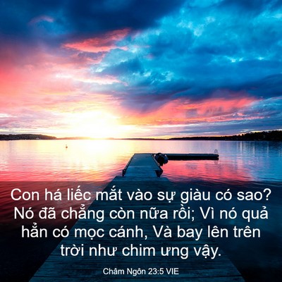 Picture 03 - Châm Ngôn 23:5 VIE - Con há liếc mắt vào sự giàu có sao? Nó - Bible Verse Picture