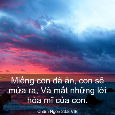 Picture 03 - Châm Ngôn 23:8 VIE - Miếng con đã ăn, con sẽ mửa ra, Và - Bible Verse Picture