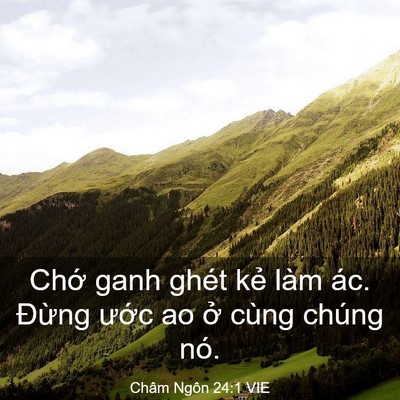 Picture 03 - Châm Ngôn 24:1 VIE - Chớ ganh ghét kẻ làm ác. Đừng ước ao - Bible Verse Picture