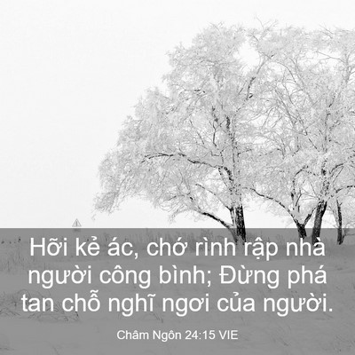 Picture 03 - Châm Ngôn 24:15 VIE - Hỡi kẻ ác, chớ rình rập nhà người - Bible Verse Picture