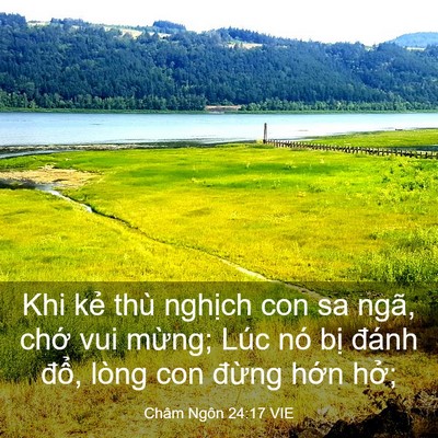 Picture 03 - Châm Ngôn 24:17 VIE - Khi kẻ thù nghịch con sa ngã, chớ vui - Bible Verse Picture