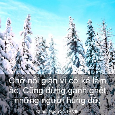 Picture 03 - Châm Ngôn 24:19 VIE - Chớ nổi giận vì cớ kẻ làm ác, Cũng - Bible Verse Picture
