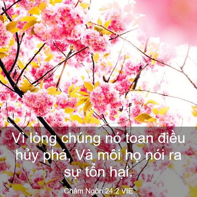 Picture 03 - Châm Ngôn 24:2 VIE - Vì lòng chúng nó toan điều hủy phá, Và - Bible Verse Picture