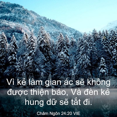 Picture 03 - Châm Ngôn 24:20 VIE - Vì kẻ làm gian ác sẽ không được - Bible Verse Picture
