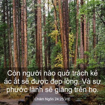 Picture 03 - Châm Ngôn 24:25 VIE - Còn người nào quở trách kẻ ác ắt - Bible Verse Picture