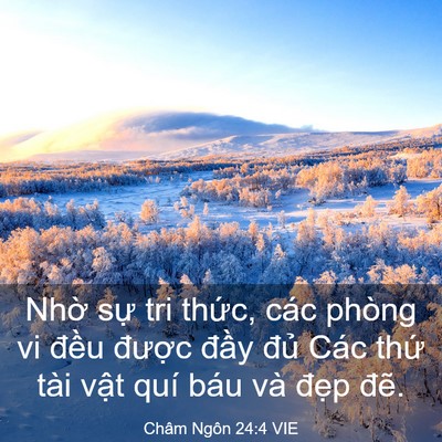 Picture 03 - Châm Ngôn 24:4 VIE - Nhờ sự tri thức, các phòng vi đều - Bible Verse Picture
