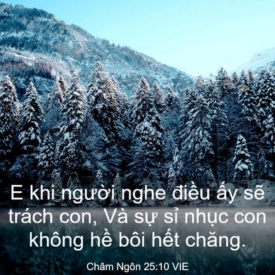 Picture 03 - Châm Ngôn 25:10 VIE - E khi người nghe điều ấy sẽ trách con, - Bible Verse Picture