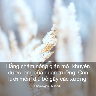 Picture 03 - Châm Ngôn 25:15 VIE - Hằng chậm nóng giận mới khuyên được - Bible Verse Picture