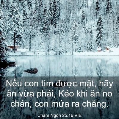 Picture 03 - Châm Ngôn 25:16 VIE - Nếu con tìm được mật, hãy ăn vừa - Bible Verse Picture