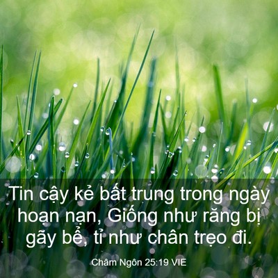 Picture 03 - Châm Ngôn 25:19 VIE - Tin cậy kẻ bất trung trong ngày hoạn - Bible Verse Picture