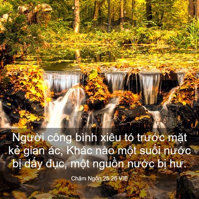 Picture 03 - Châm Ngôn 25:26 VIE - Người công bình xiêu tó trước mặt - Bible Verse Picture