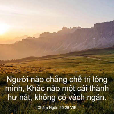 Picture 03 - Châm Ngôn 25:28 VIE - Người nào chẳng chế trị lòng mình, - Bible Verse Picture