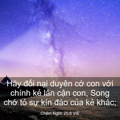 Picture 03 - Châm Ngôn 25:9 VIE - Hãy đối nại duyên cớ con với chính - Bible Verse Picture