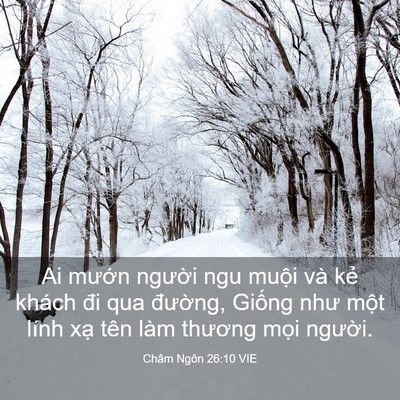 Picture 03 - Châm Ngôn 26:10 VIE - Ai mướn người ngu muội và kẻ khách - Bible Verse Picture