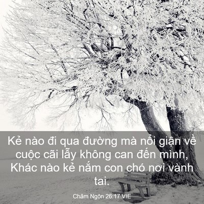 Picture 03 - Châm Ngôn 26:17 VIE - Kẻ nào đi qua đường mà nổi giận về - Bible Verse Picture