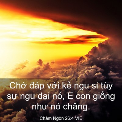 Picture 03 - Châm Ngôn 26:4 VIE - Chớ đáp với kẻ ngu si tùy sự ngu dại - Bible Verse Picture