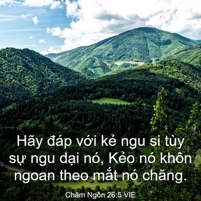 Picture 03 - Châm Ngôn 26:5 VIE - Hãy đáp với kẻ ngu si tùy sự ngu dại - Bible Verse Picture