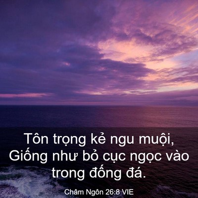 Picture 03 - Châm Ngôn 26:8 VIE - Tôn trọng kẻ ngu muội, Giống như bỏ - Bible Verse Picture