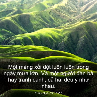 Picture 03 - Châm Ngôn 27:15 VIE - Một máng xối dột luôn luôn trong ngày - Bible Verse Picture