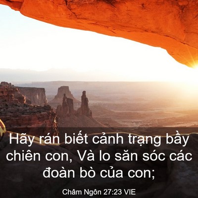 Picture 03 - Châm Ngôn 27:23 VIE - Hãy rán biết cảnh trạng bầy chiên con, - Bible Verse Picture