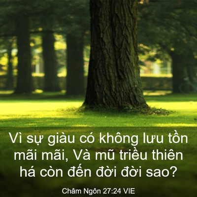 Picture 03 - Châm Ngôn 27:24 VIE - Vì sự giàu có không lưu tồn mãi mãi, - Bible Verse Picture