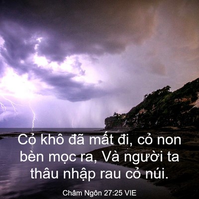 Picture 03 - Châm Ngôn 27:25 VIE - Cỏ khô đã mất đi, cỏ non bèn mọc ra, - Bible Verse Picture