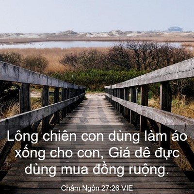 Picture 03 - Châm Ngôn 27:26 VIE - Lông chiên con dùng làm áo xống cho con, - Bible Verse Picture