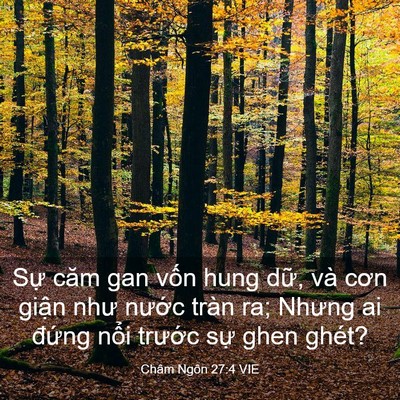 Picture 03 - Châm Ngôn 27:4 VIE - Sự căm gan vốn hung dữ, và cơn giận - Bible Verse Picture