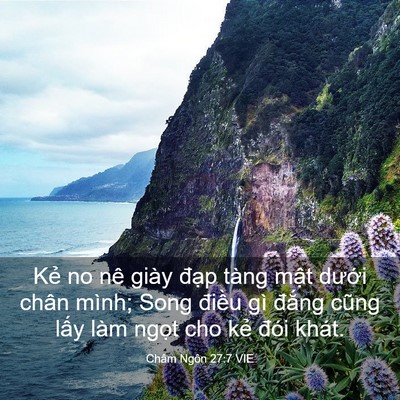 Picture 03 - Châm Ngôn 27:7 VIE - Kẻ no nê giày đạp tàng mật dưới - Bible Verse Picture