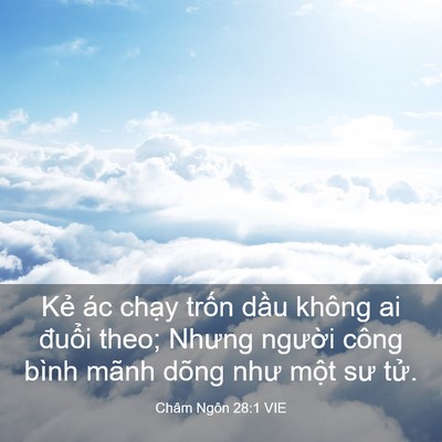 Picture 03 - Châm Ngôn 28:1 VIE - Kẻ ác chạy trốn dầu không ai đuổi - Bible Verse Picture