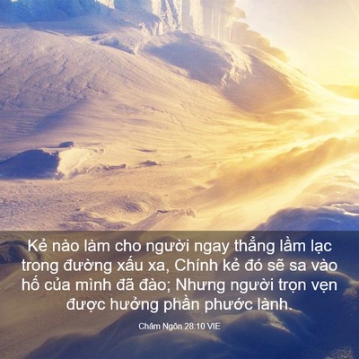 Picture 03 - Châm Ngôn 28:10 VIE - Kẻ nào làm cho người ngay thẳng lầm - Bible Verse Picture