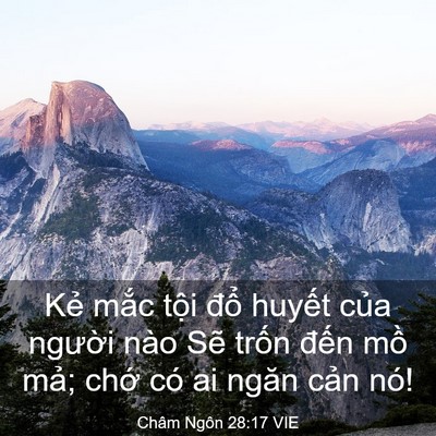 Picture 03 - Châm Ngôn 28:17 VIE - Kẻ mắc tội đổ huyết của người - Bible Verse Picture