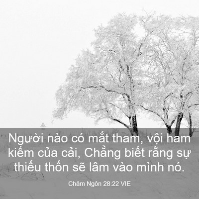 Picture 03 - Châm Ngôn 28:22 VIE - Người nào có mắt tham, vội ham kiếm - Bible Verse Picture