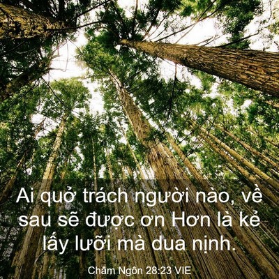 Picture 03 - Châm Ngôn 28:23 VIE - Ai quở trách người nào, về sau sẽ - Bible Verse Picture