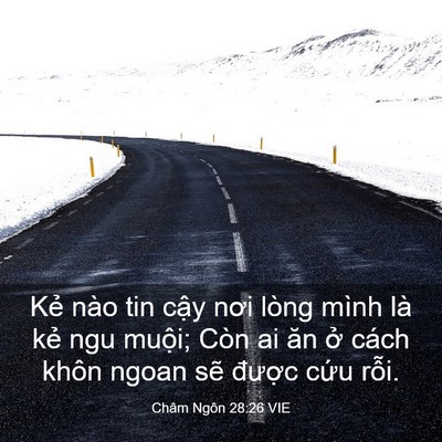Picture 03 - Châm Ngôn 28:26 VIE - Kẻ nào tin cậy nơi lòng mình là kẻ ngu - Bible Verse Picture