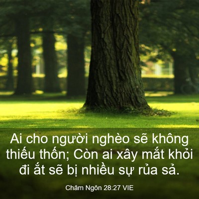 Picture 03 - Châm Ngôn 28:27 VIE - Ai cho người nghèo sẽ không thiếu - Bible Verse Picture