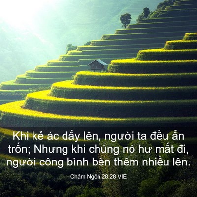 Picture 03 - Châm Ngôn 28:28 VIE - Khi kẻ ác dấy lên, người ta đều ẩn - Bible Verse Picture