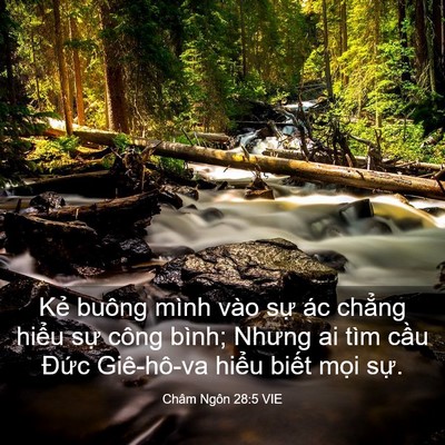 Picture 03 - Châm Ngôn 28:5 VIE - Kẻ buông mình vào sự ác chẳng hiểu - Bible Verse Picture