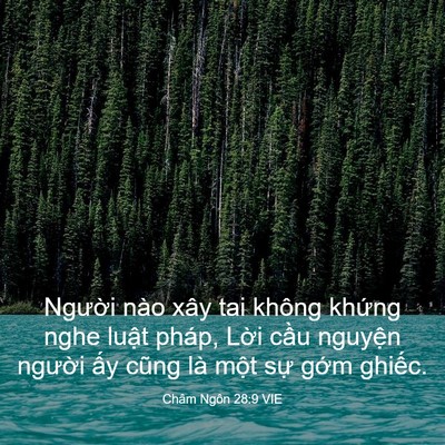 Picture 03 - Châm Ngôn 28:9 VIE - Người nào xây tai không khứng nghe luật - Bible Verse Picture