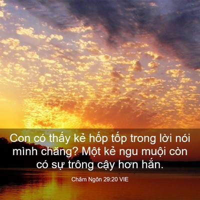Picture 03 - Châm Ngôn 29:20 VIE - Con có thấy kẻ hốp tốp trong lời nói - Bible Verse Picture