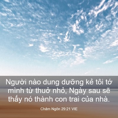 Picture 03 - Châm Ngôn 29:21 VIE - Người nào dung dưỡng kẻ tôi tớ mình - Bible Verse Picture