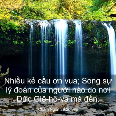 Picture 03 - Châm Ngôn 29:26 VIE - Nhiều kẻ cầu ơn vua; Song sự lý đoán - Bible Verse Picture