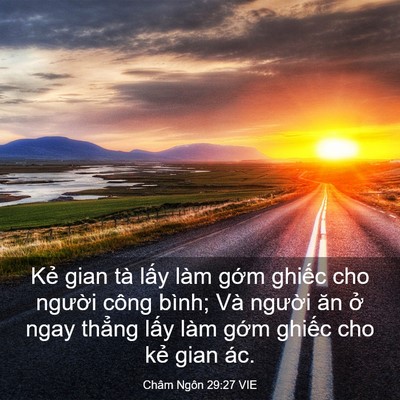Picture 03 - Châm Ngôn 29:27 VIE - Kẻ gian tà lấy làm gớm ghiếc cho - Bible Verse Picture