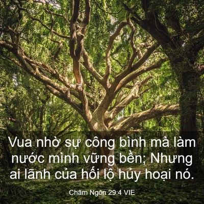 Picture 03 - Châm Ngôn 29:4 VIE - Vua nhờ sự công bình mà làm nước mình - Bible Verse Picture