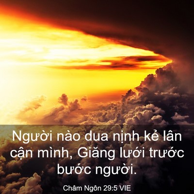 Picture 03 - Châm Ngôn 29:5 VIE - Người nào dua nịnh kẻ lân cận mình, - Bible Verse Picture