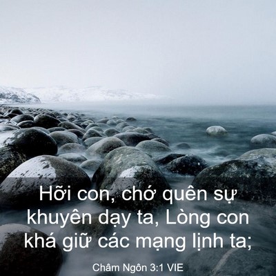 Picture 03 - Châm Ngôn 3:1 VIE - Hỡi con, chớ quên sự khuyên dạy ta, - Bible Verse Picture
